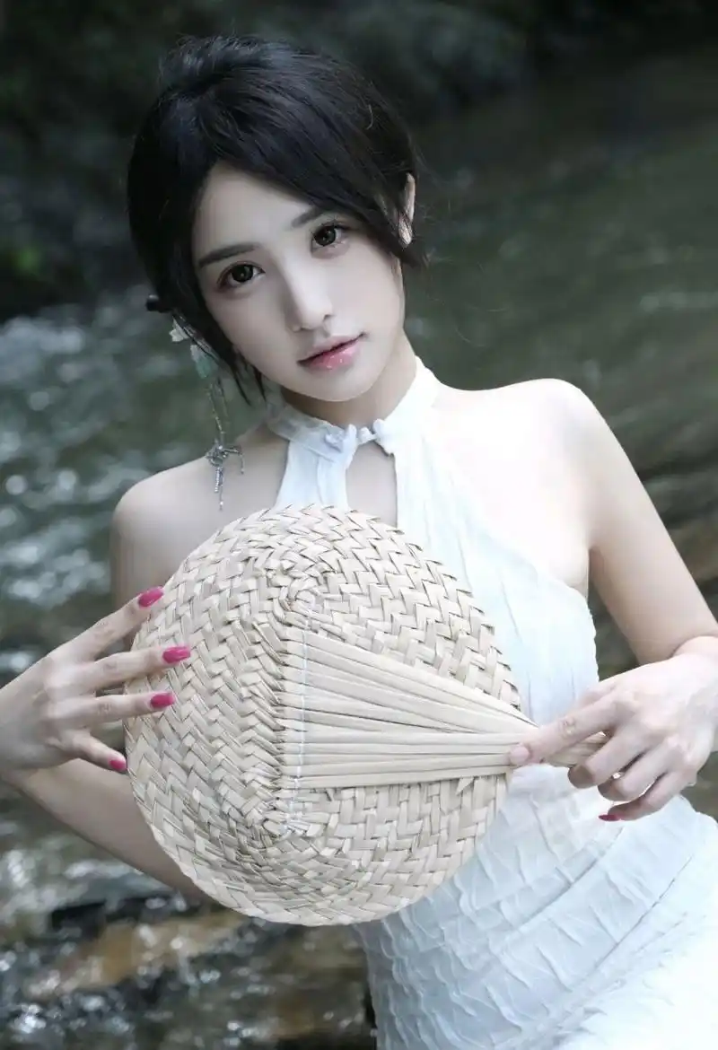 雾港档案热播电视剧全集在线观看